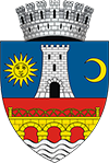 Municipiul Slatina